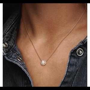 1rose gold necklace